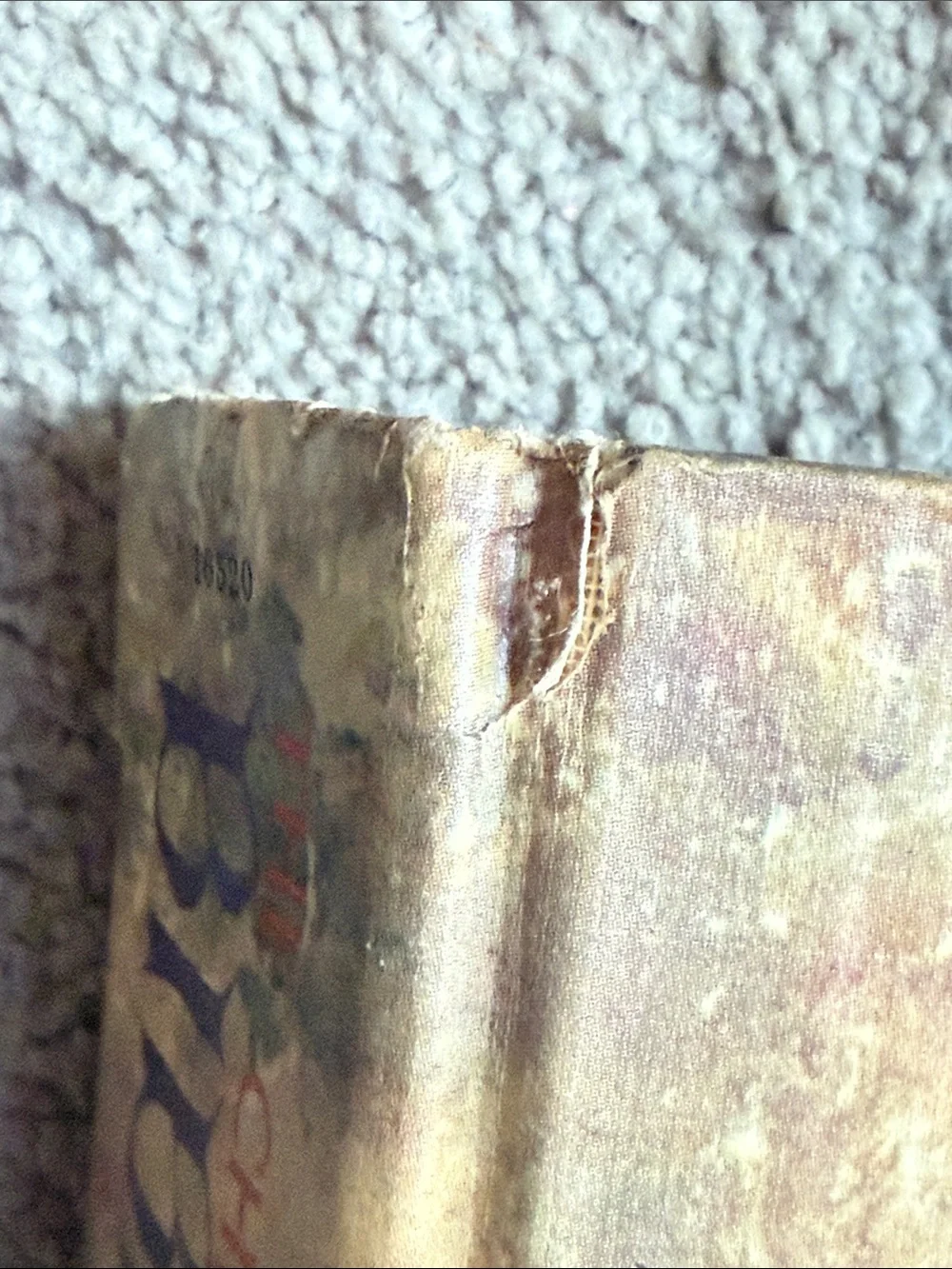 “The Children's Bible” The Old Testament, The New Testament!